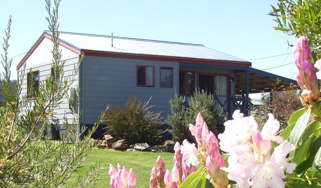 Highland Cabins And Cottages At Bronte Park Ruang foto